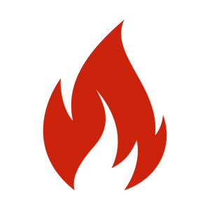 hct flame logo